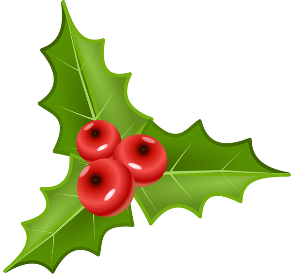 Free Christmas Aquifoliaceae Leaf Holly Clipart Clipart Transparent Background