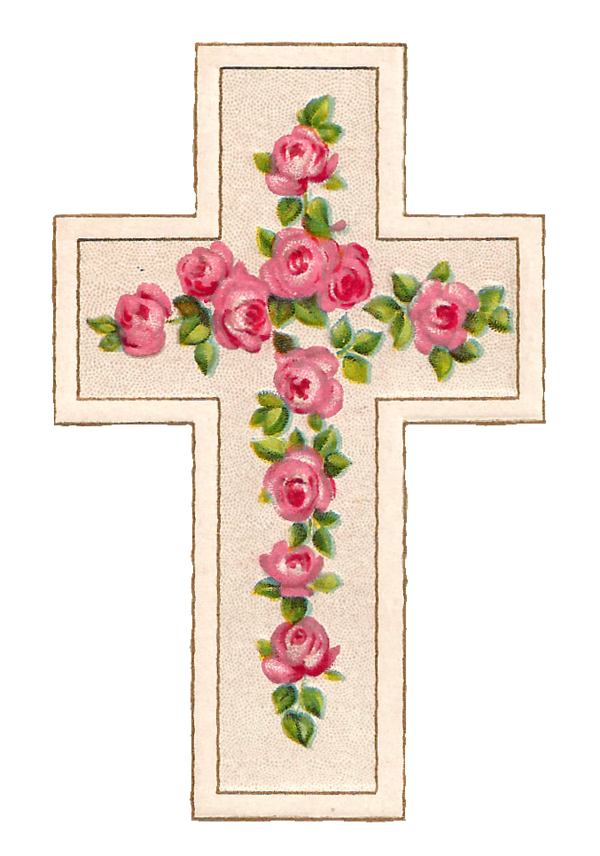 Free Rose Flower Cross Cut Flowers Clipart Clipart Transparent Background