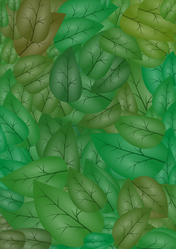 Free Leaf Leaf Plant Stem Petal Clipart Clipart Transparent Background