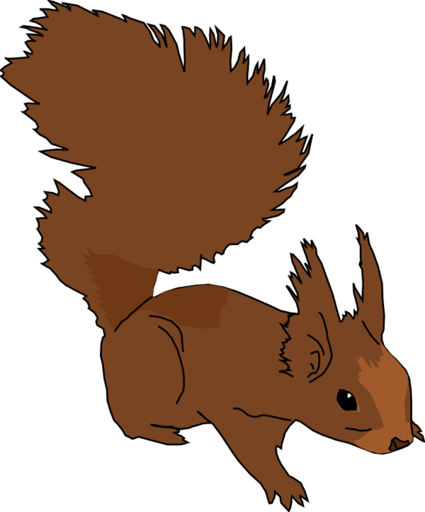 Free Squirrel Squirrel Tail Wildlife Clipart Clipart Transparent Background