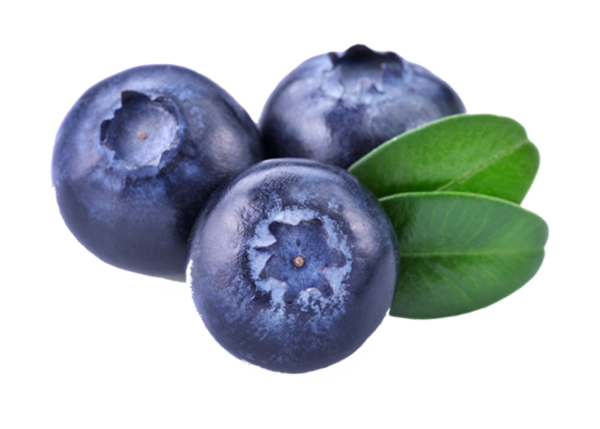 Free Fruit Fruit Blueberry Food Clipart Clipart Transparent Background