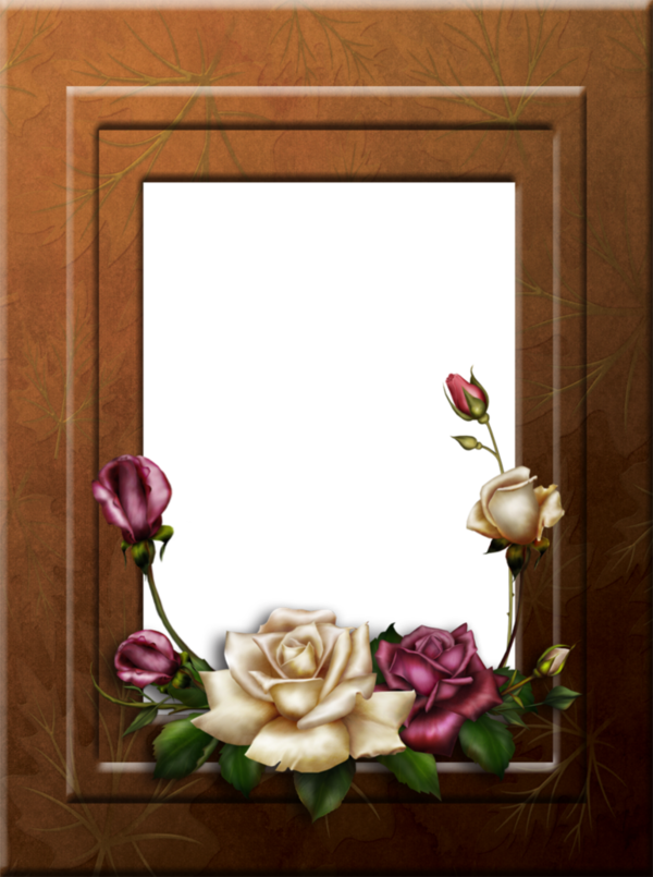 Free Rose Flower Picture Frame Flora Clipart Clipart Transparent Background