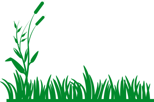 Free Leaf Plant Grass Leaf Clipart Clipart Transparent Background
