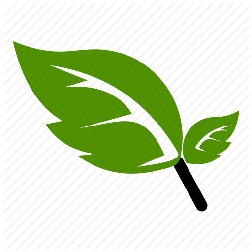 Free Leaf Leaf Plant Line Clipart Clipart Transparent Background
