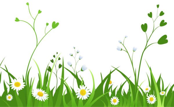 Free Spring Flower Grass Meadow Clipart Clipart Transparent Background