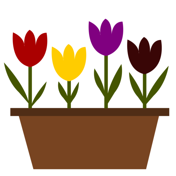 Free Tulip Flower Plant Flowerpot Clipart Clipart Transparent Background