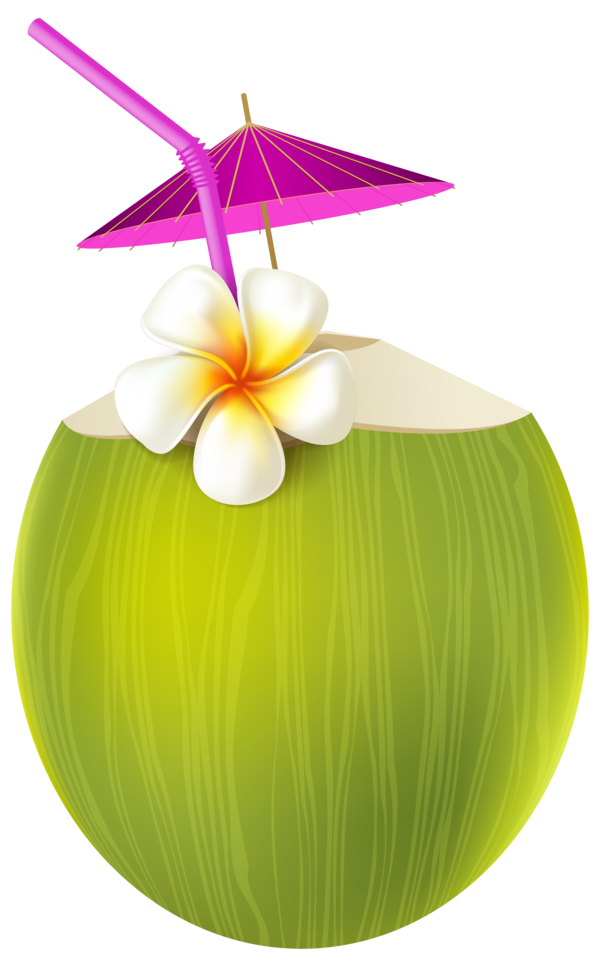 Free Cocktail Coconut Water Vase Petal Clipart Clipart Transparent Background