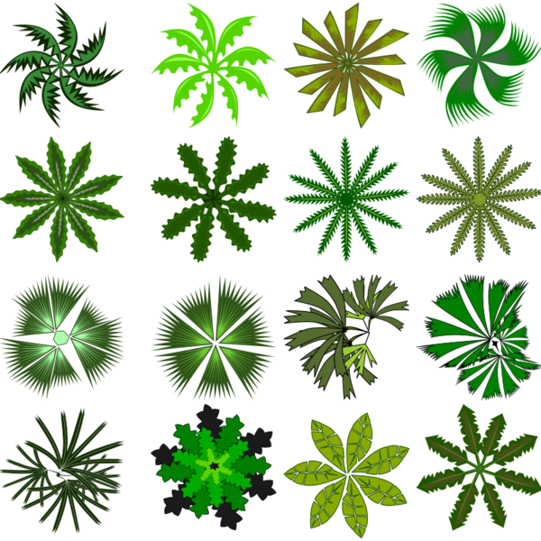 Free Grass Plant Leaf Flower Clipart Clipart Transparent Background