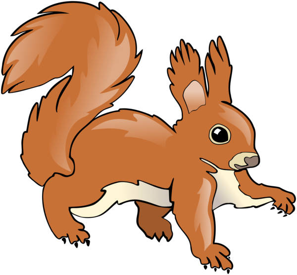 Free Rabbit Wildlife Tail Squirrel Clipart Clipart Transparent Background