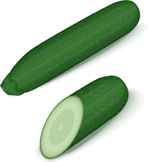 Free Summer Vegetable Cucumber Cucumis Clipart Clipart Transparent Background