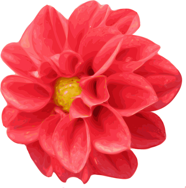 Free Daisy Flower Dahlia Petal Clipart Clipart Transparent Background