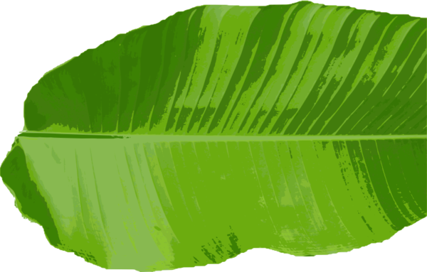 Free Bread Leaf Plant Banana Leaf Clipart Clipart Transparent Background