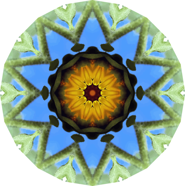 Free Sunflower Flower Kaleidoscope Symmetry Clipart Clipart Transparent Background