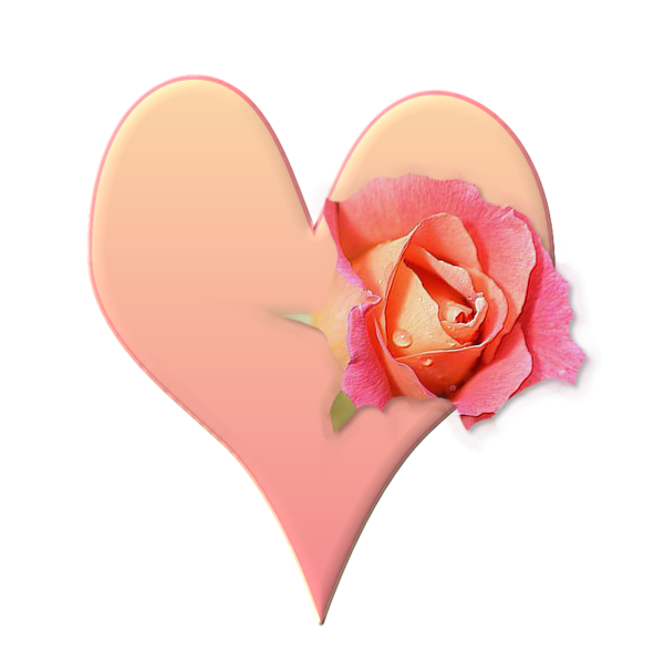 Free Rose Flower Heart Rose Family Clipart Clipart Transparent Background
