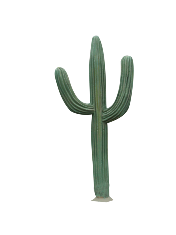 Free Cactus Cactus Caryophyllales Plant Stem Clipart Clipart Transparent Background