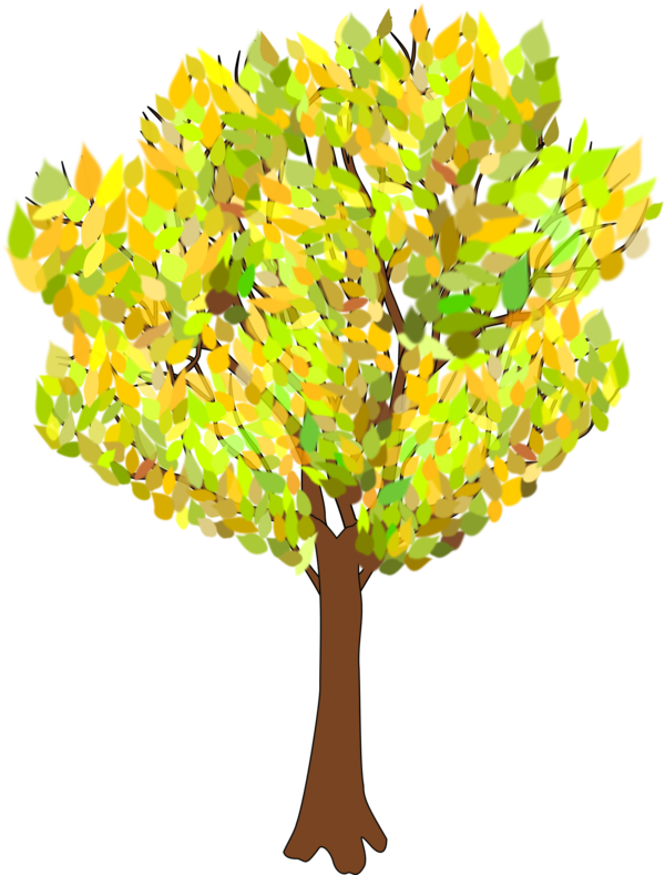 Free Tree Tree Woody Plant Leaf Clipart Clipart Transparent Background