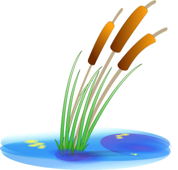 Free Water Line Grass Material Clipart Clipart Transparent Background