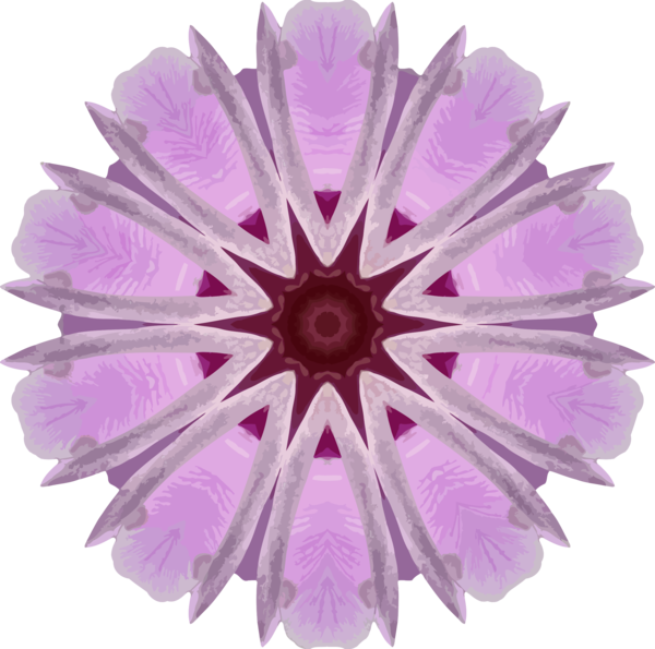 Free Daisy Flower Petal Lilac Clipart Clipart Transparent Background