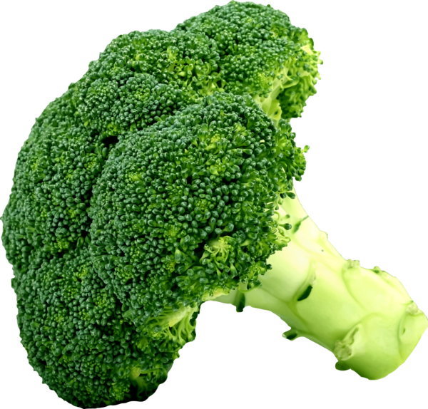 Free Vegetable Vegetable Broccoli Leaf Vegetable Clipart Clipart Transparent Background