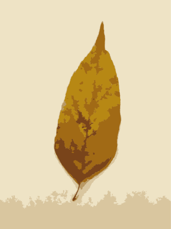 Free Autumn Leaf Plant Clipart Clipart Transparent Background