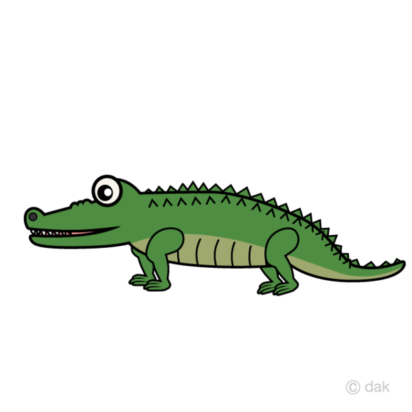Free Turtle Crocodilia Reptile Alligator Clipart Clipart Transparent Background