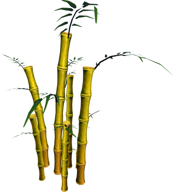 Free Tree Tree Branch Bamboo Clipart Clipart Transparent Background