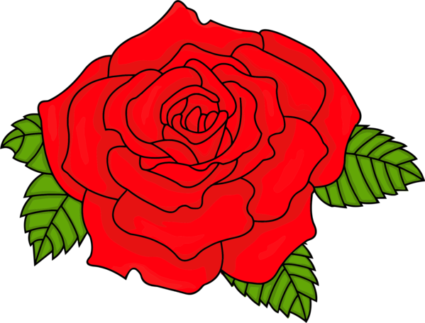 Free Leaf Flower Garden Roses Rose Family Clipart Clipart Transparent Background