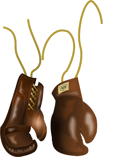 Free Boxing Boxing Glove Shoe Food Clipart Clipart Transparent Background