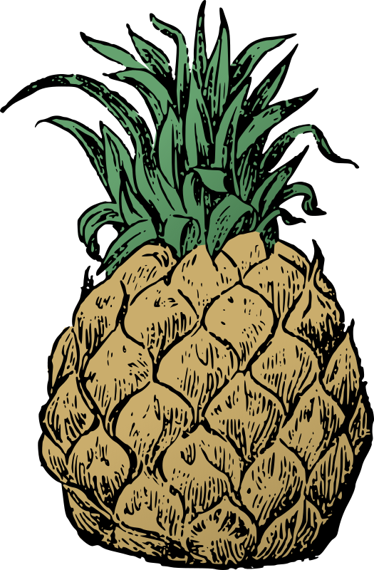 Free Pizza Ananas Plant Pineapple Clipart Clipart Transparent Background