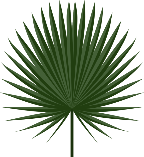 Free Tree Leaf Plant Palm Tree Clipart Clipart Transparent Background