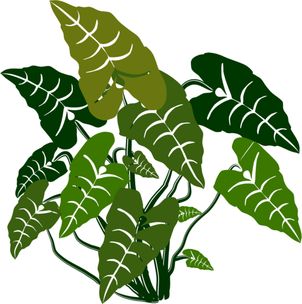 Free Tree Leaf Plant Flora Clipart Clipart Transparent Background