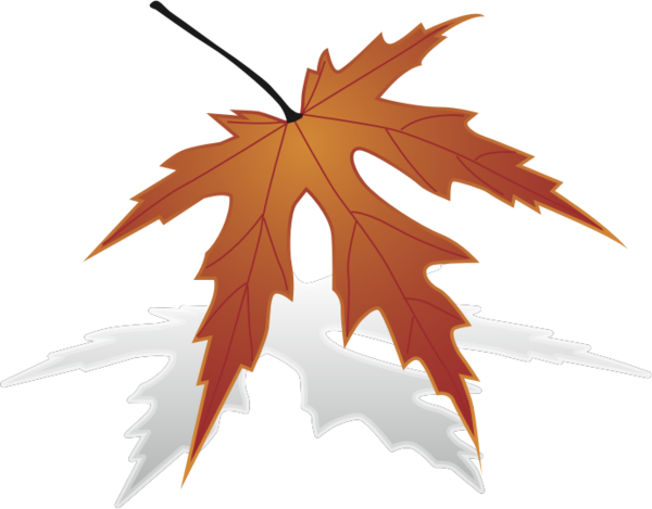 Free Tree Leaf Maple Leaf Tree Clipart Clipart Transparent Background