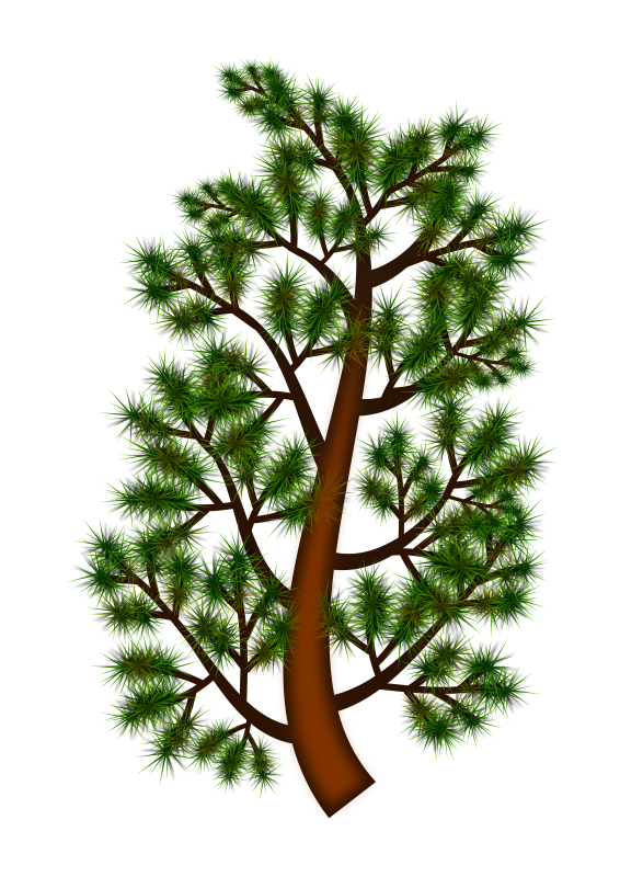 Free Tree Tree Branch Woody Plant Clipart Clipart Transparent Background