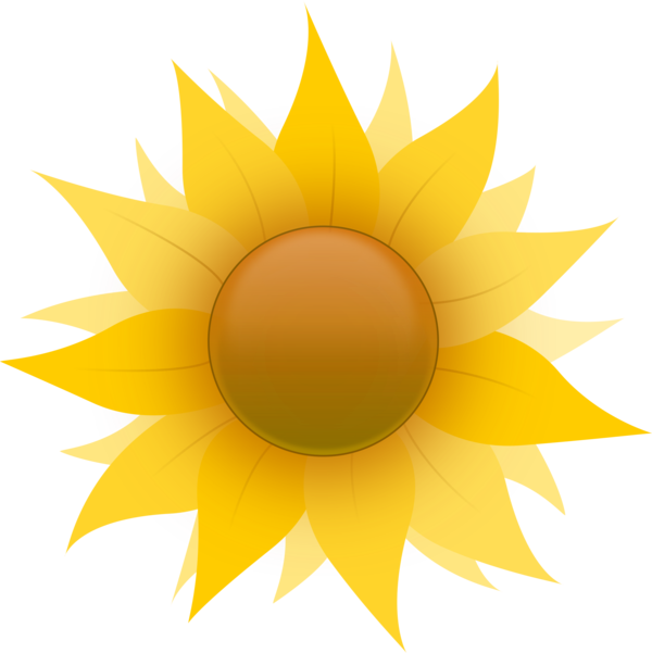 Free Sunflower Sunflower Flower Line Clipart Clipart Transparent Background