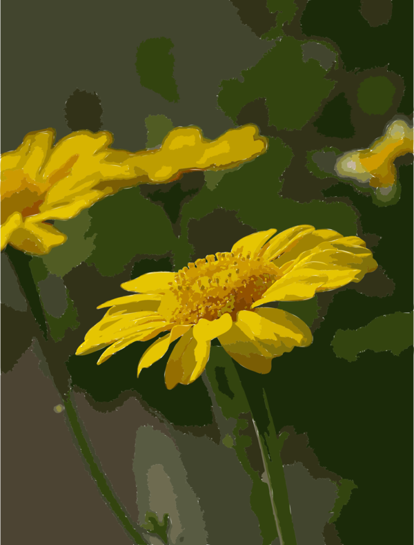 Free Daisy Flower Flora Sunflower Clipart Clipart Transparent Background