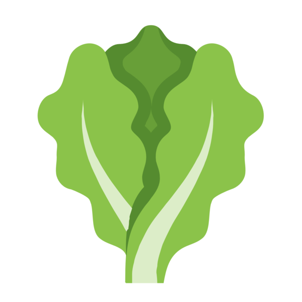 Free Salad Leaf Plant Tree Clipart Clipart Transparent Background