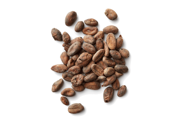Free Coffee Cocoa Bean Jamaican Blue Mountain Coffee Nuts Seeds Clipart Clipart Transparent Background