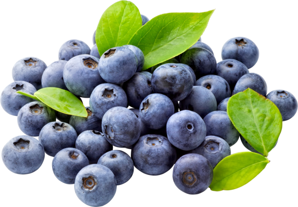 Free Tea Fruit Berry Blueberry Clipart Clipart Transparent Background