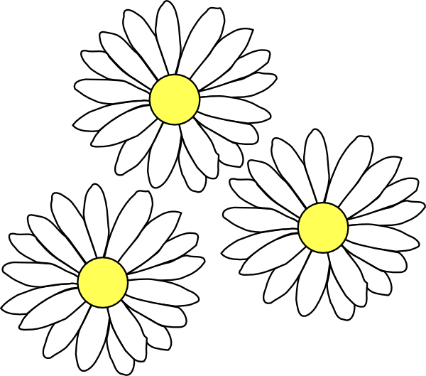 Free Daisy Flower Flora Black And White Clipart Clipart Transparent Background