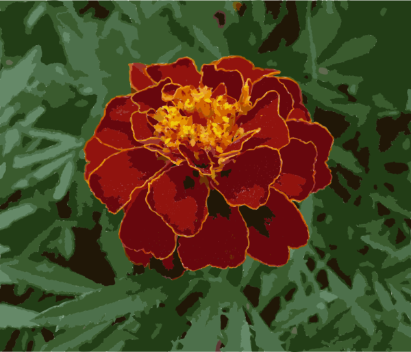 Free Peony Flower Flora Plant Clipart Clipart Transparent Background