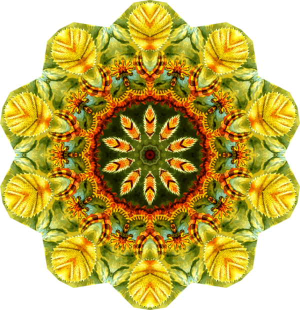 Free Sewing Flower Symmetry Clipart Clipart Transparent Background