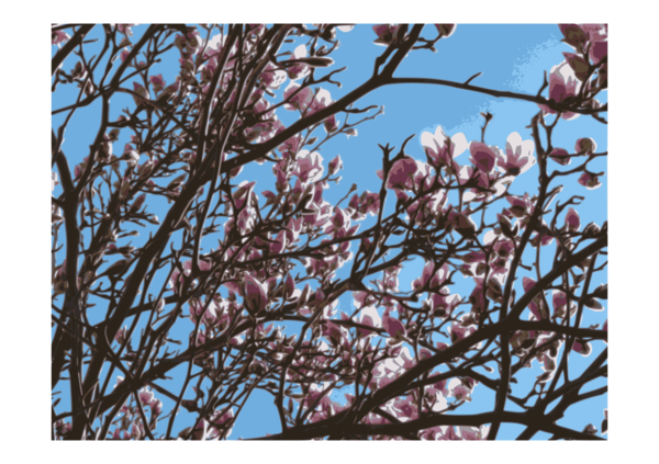 Free Spring Branch Sky Blossom Clipart Clipart Transparent Background