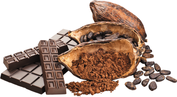 Free Coffee Food Chocolate Cocoa Bean Clipart Clipart Transparent Background