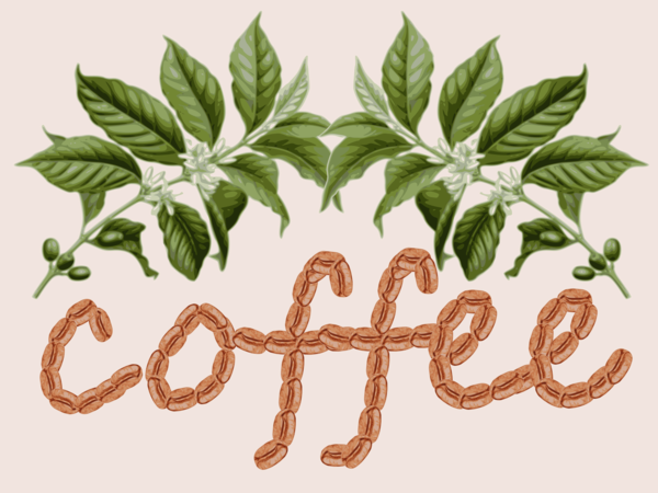Free Coffee Plant Leaf Flora Clipart Clipart Transparent Background