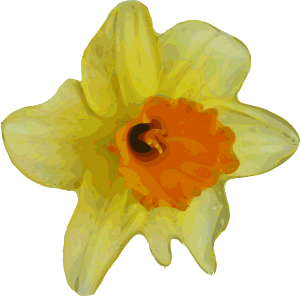 Free Family Flower Narcissus Flora Clipart Clipart Transparent Background