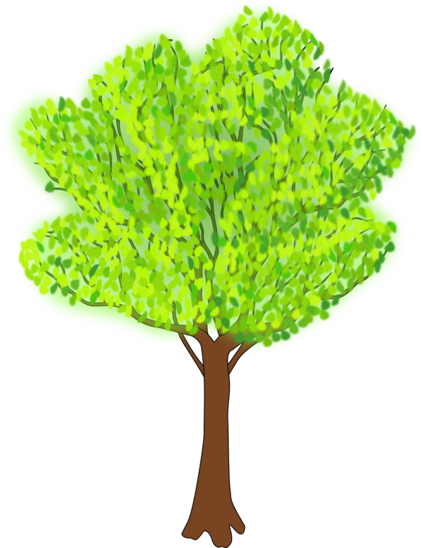 Free Leaf Tree Plant Leaf Clipart Clipart Transparent Background