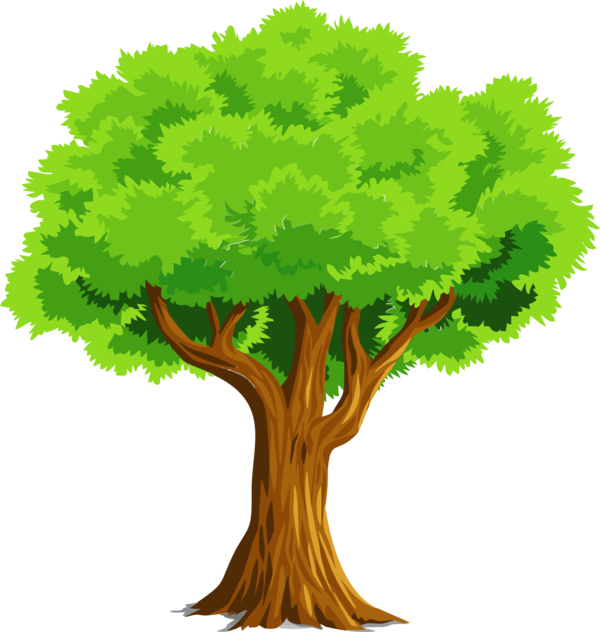 Free Vegetable Tree Woody Plant Plant Clipart Clipart Transparent Background