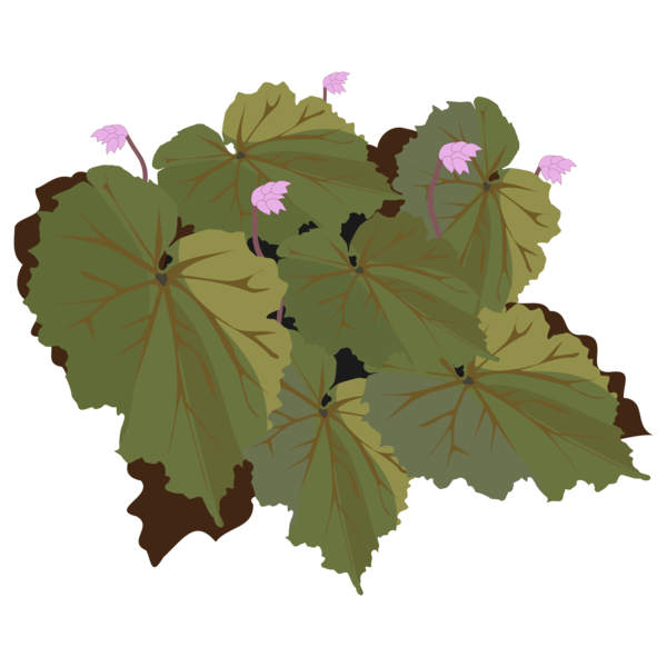 Free Family Flower Leaf Plant Clipart Clipart Transparent Background