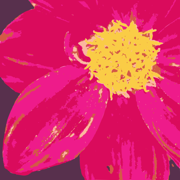 Free Gerbera Flower Flora Dahlia Clipart Clipart Transparent Background