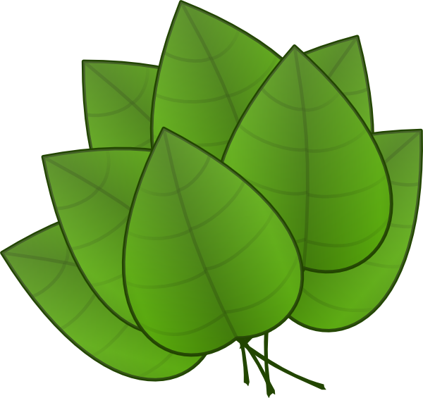Free Leaf Leaf Plant Circle Clipart Clipart Transparent Background
